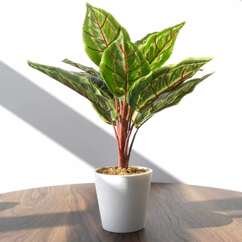 Botanik Pack of 6 Realistic Artificial Potted Green Foliage Plants, H 38 cm x W 30 cm x D 30 cm – 4