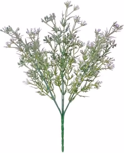 KDMD Essential Lilac Heather Bud Bush 3 Pack in Purple