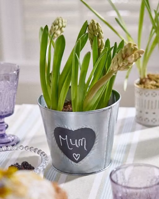 Dibor Vintage Zinc Love Heart Flower Planter Pot in Grey, H 14 cm, Dia 15.5 cm – 1