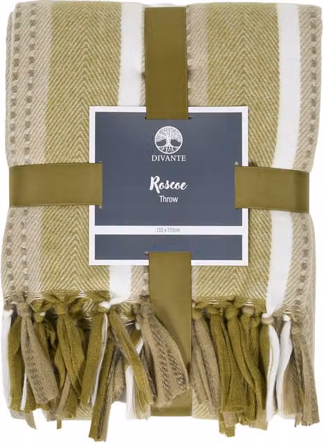 Divante Roscoe Striped Throw in Green, 130 x 130 cm