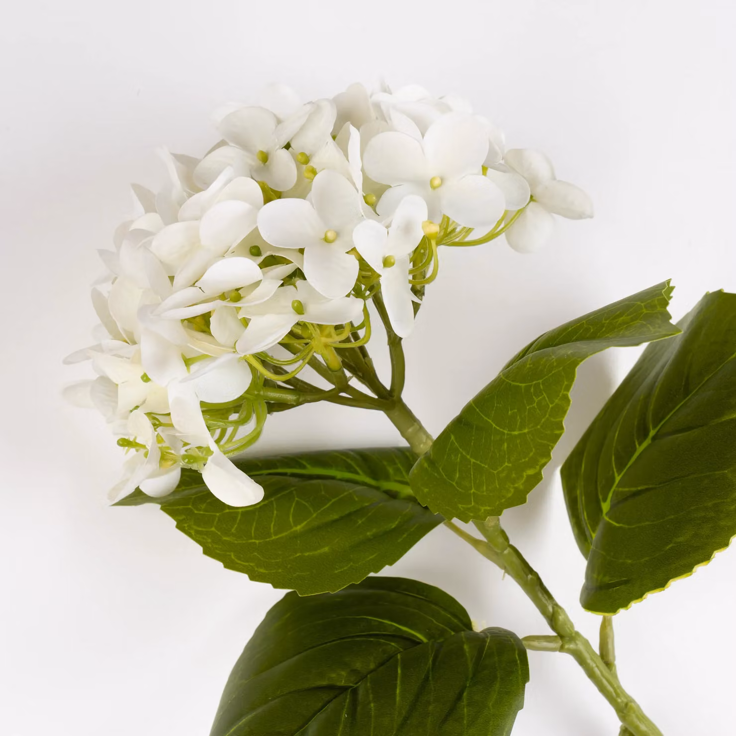 Scottish Everlastings Ltd Pack of 3 White Hydrangea Stems, 64 cm – 3