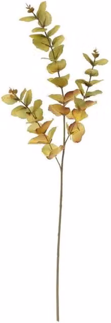 KDMD Glamis Green Eucalyptus Spray, Height: 73 cm