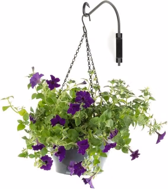 Nordara 4 Pack Black Iron Swivel Plant Hanging Basket Brackets for 12 inch Baskets – 1