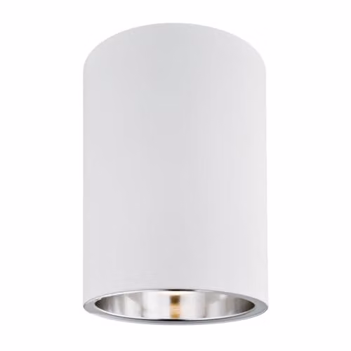 Argon Modern White Metal Ceiling Light with Replaceable LED Bulb