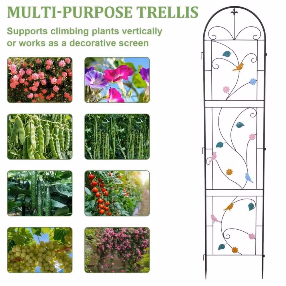 FLAVORA 2 Pack Metal Garden Trellis with Multicolour Bird Support in Black, W: 100 cm, D: 15 cm, H: 214 cm – 3