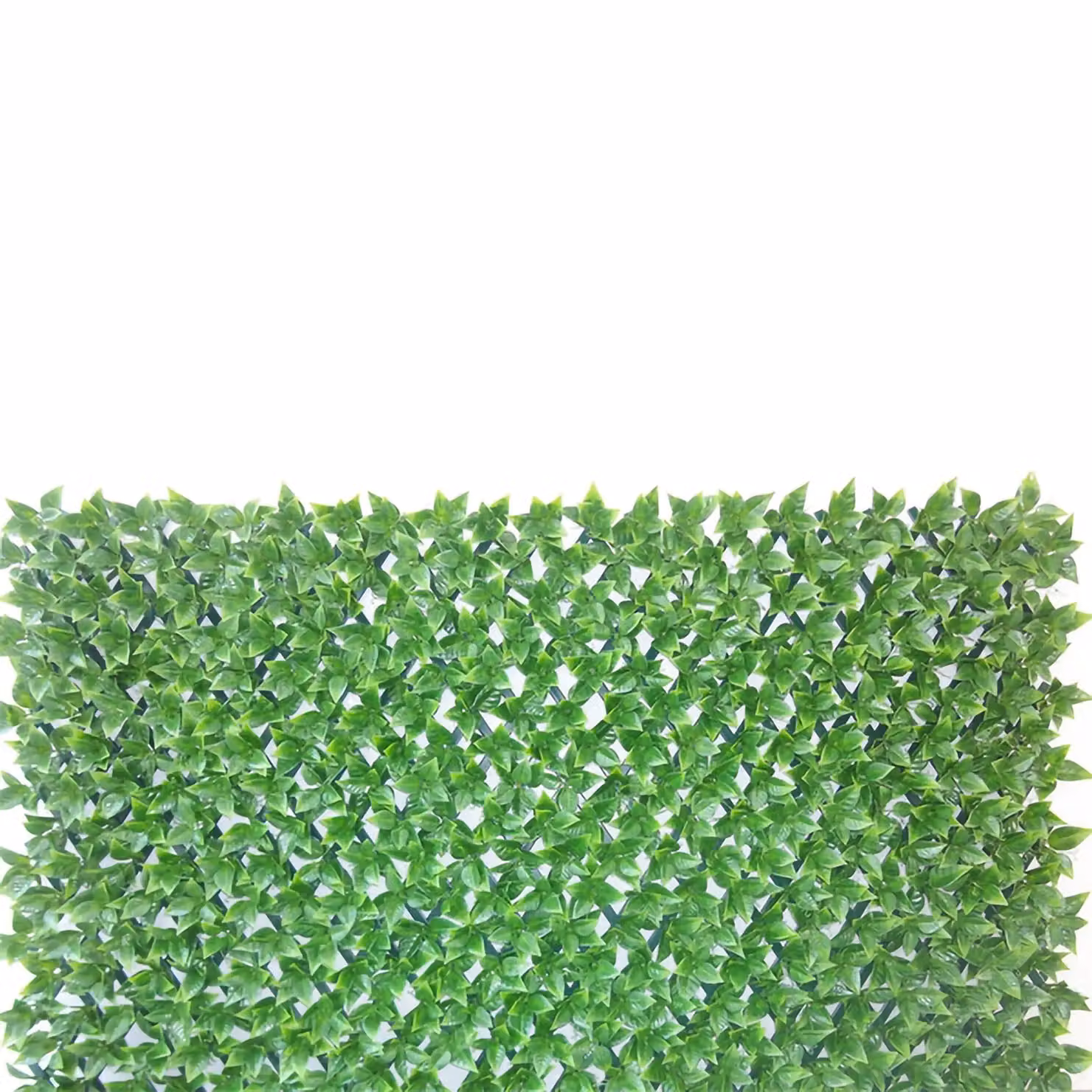 Primrose Green Extendable Artificial Hedge Wall-Mounted Screening W: 100 cm, H: 200 cm – 4