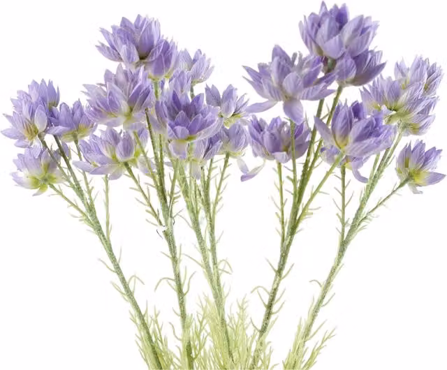 Pack of 6 Purple Textile Starflower Stems with Leaves, 30 Flowers, Height: 60 cm