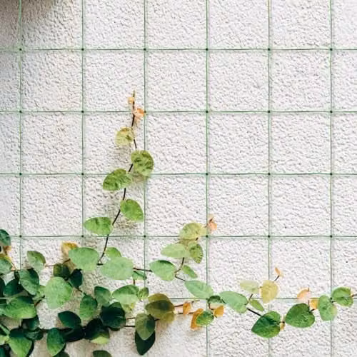 mysmartbuy Green Polypropylene Trellis Mesh Netting for Climbing Plants and Vegetables