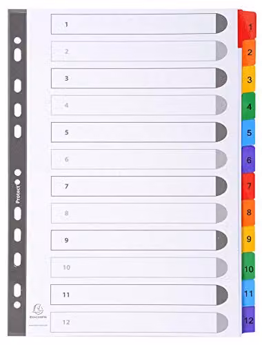Exacompta A4 Dividers with 12 Numbered Tabs 1-12 in White and Multicolour – 2