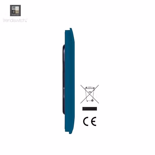 Trendi Blue Flush Plastic Switch Plate – 2