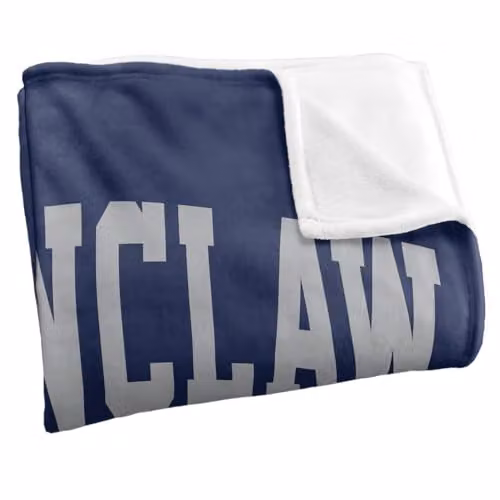 Warner Bros. Harry Potter Ravenclaw Arched Silky Touch Super Soft Fleece Throw Blanket, Multicolour, W: 91.44 cm x D: 147 cm – 2