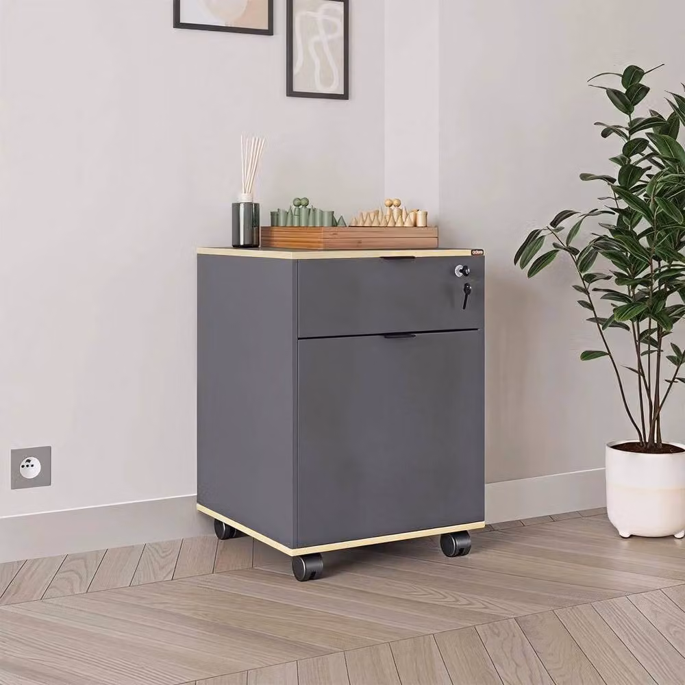 KORVIXA Mobile Office Cabinet with 1 Door and 1 Drawer in Grey – 3