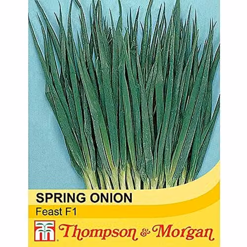 Thompson and Morgan Spring Onion Feast F1 Hybrid Bunching Scallion Seeds, 500 Seeds