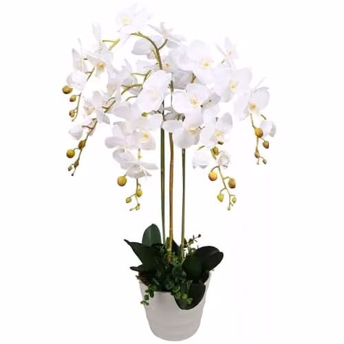 Leaf Design UK White Artificial Deluxe Orchid with Green Leaves in a White Pot, Height: 85 cm