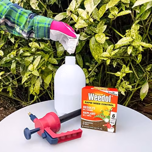 Weedol Rapid Weed Control Concentrate Spray, 6 x 0.2 l Pack – 3