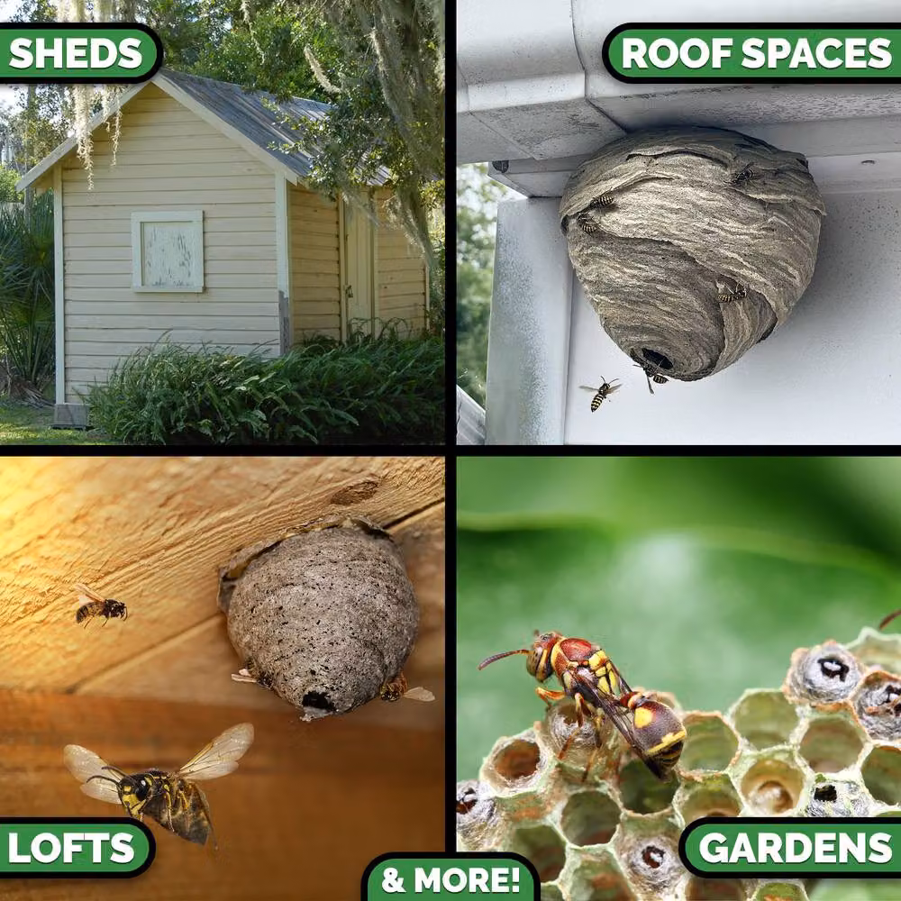 Xterminate Wasp Nest Killer Spray Foam with 5m Long Reach for Indoor and Outdoor Use, White, 1 Pack – 4