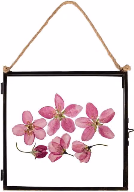 Nicola Spring Vintage Single Square Hanging Metal Photo Frame, Black, 20.32 x 20.32 cm