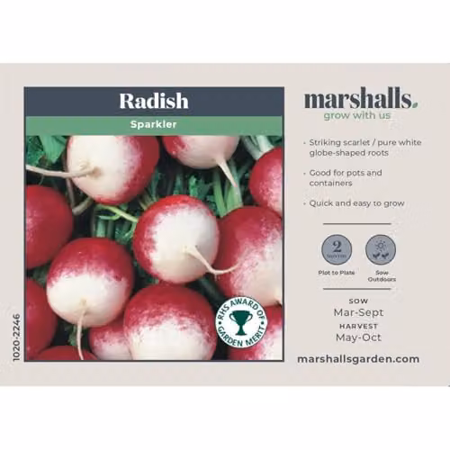 Unwins Radish Sparkler Red Vegetable Seeds – 2