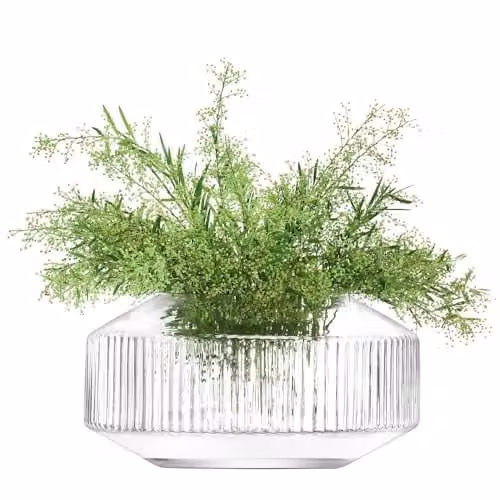 LSA International Rotunda Wide Glass Vase, Transparent, Height: 14 cm – 1