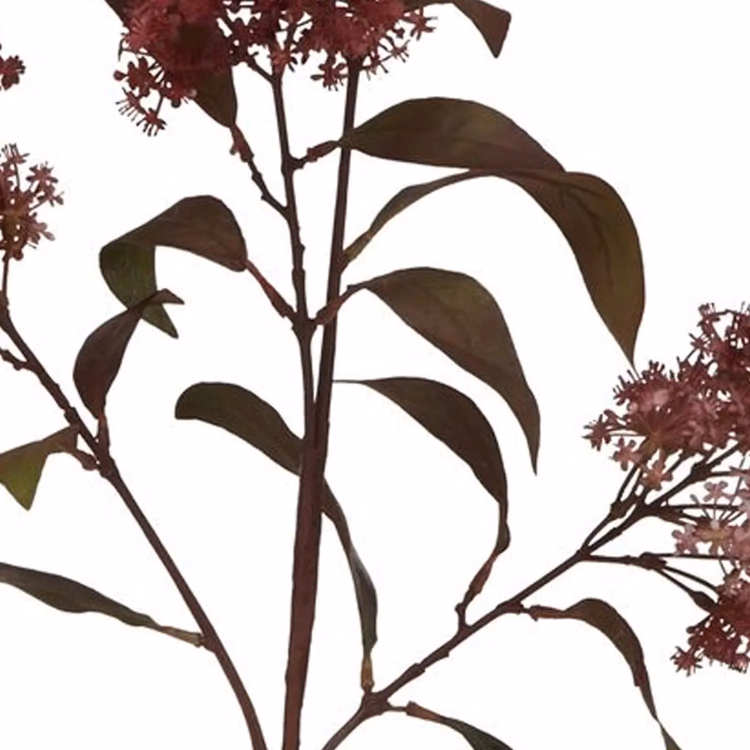 Hill Interiors Smokebush Artificial Flower in Red – 3