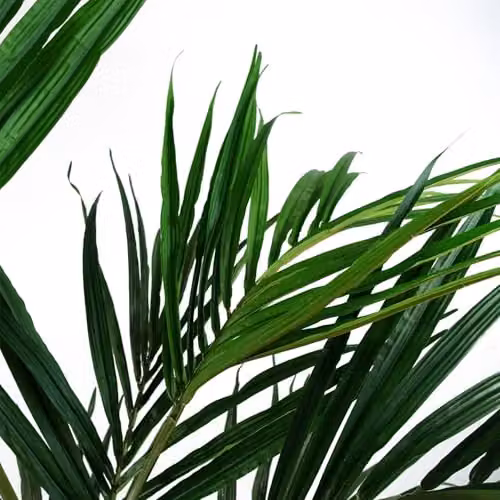 Botanik Green Artificial Palm Tree – 3