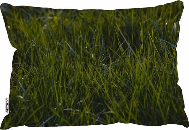 Benjamin Tate Design LTD Rectangular Natural Grass Outdoor Cushion in Green