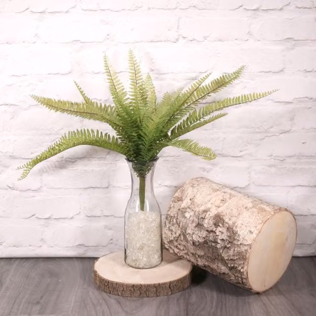 KDMD Green Boston Fern Potted Plant