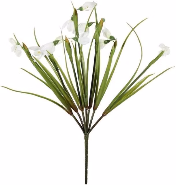 KDMD White Snowdrop Bush, 2 Pack, Height: 33 cm
