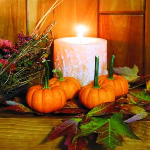 Thompson & Morgan Pumpkin Gold Speck F1 Seeds, 4 Seeds per Packet, Orange Mini Bush Pumpkins
