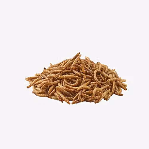 Peckish Mealworms for Wild Birds, 500 g – 2