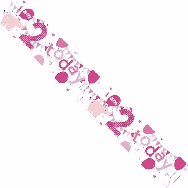 KDMD Birthday Girl 2 Today Multi-Coloured Banner Pack of 12