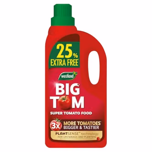 Westland Big Tom Super Tomato Food 1.4kg – 2