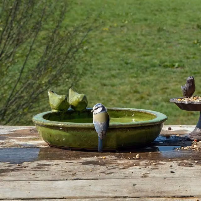 Primrose Round Glazed Ceramic Bird Bath Bowl in Petrol Blue and Green