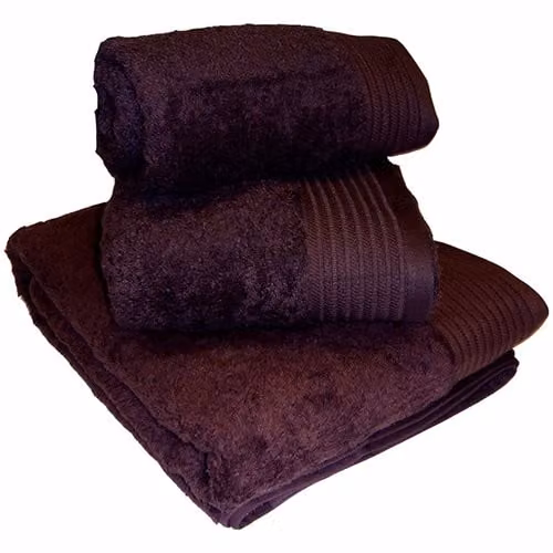 TJ Hughes Luxury Egyptian Cotton Terry Hand Towel in Purple