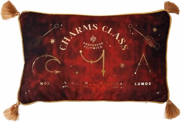 Warner Bros Harry Potter Alumni Velvet Cushion in Red