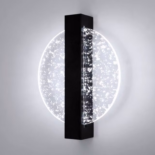 Pheashine Black and Silver Round Acrylic LED Wall Light, 12W, 6500K Cool White, Diameter: 25 cm