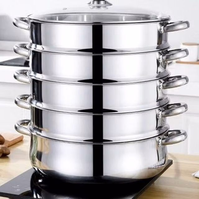 NESTLUNE Pro 5 Layer Stainless Steel Steam Cooker with Glass Lid, Silver, 28 cm