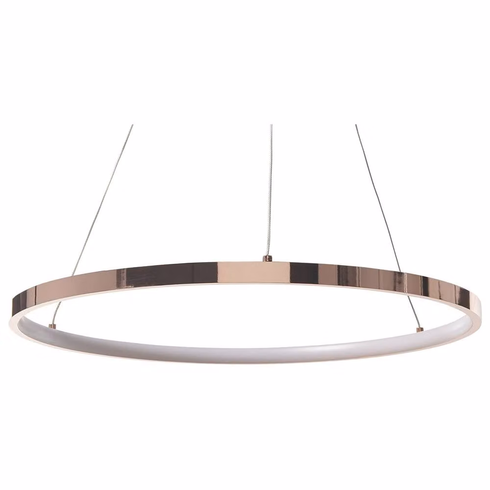Wyld and Coco Gold Aluminium LED Ring Pendant Lamp, Diameter: 50 cm – 2