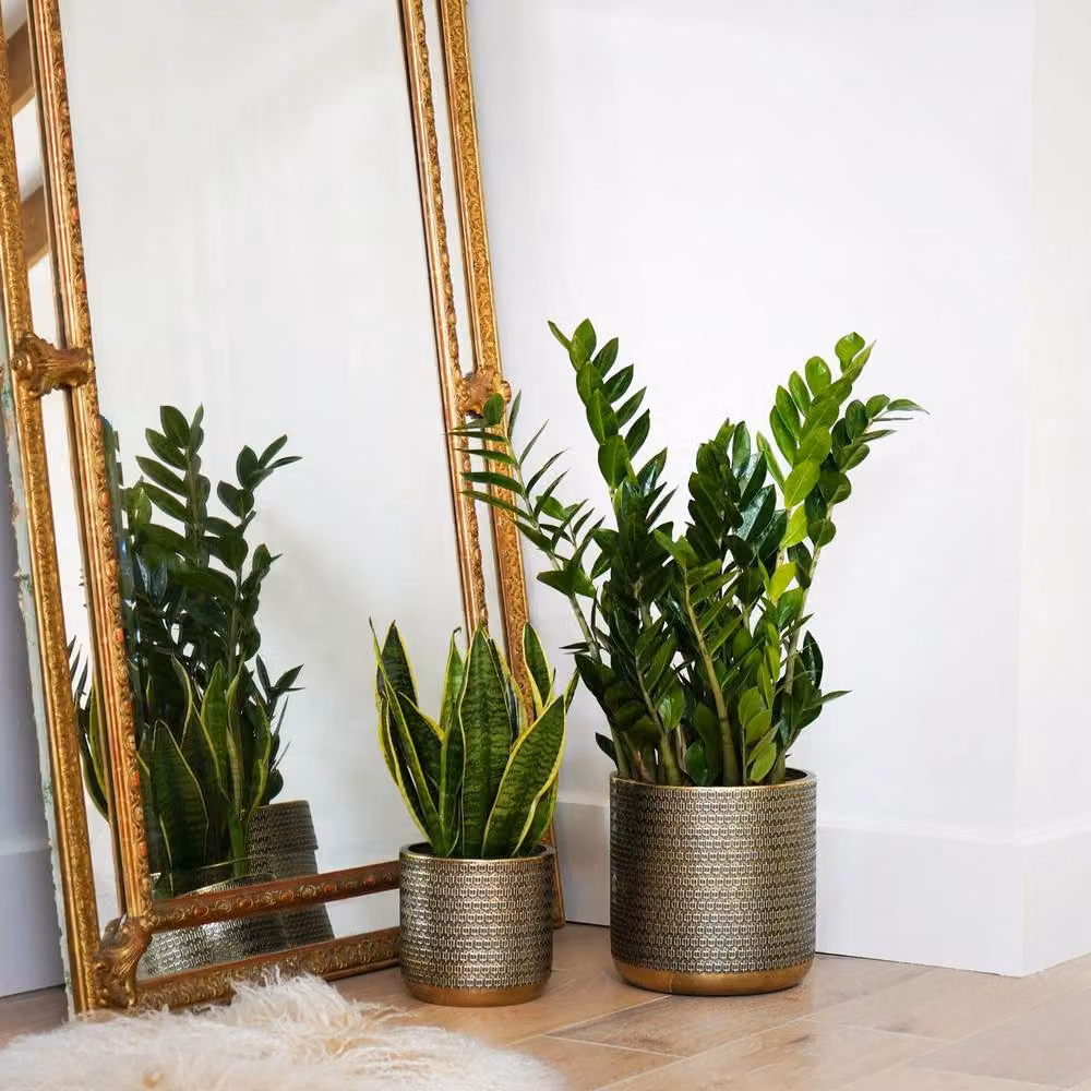 Ivyline Solis Embossed Metal Tabletop Planter in Gold, H: 18 cm, D: 18 cm – 5