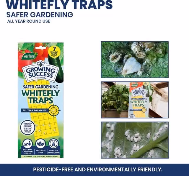 Growing Success Whitefly Trap in Vivid Yellow for Indoor Plants and Ornamental Gardens