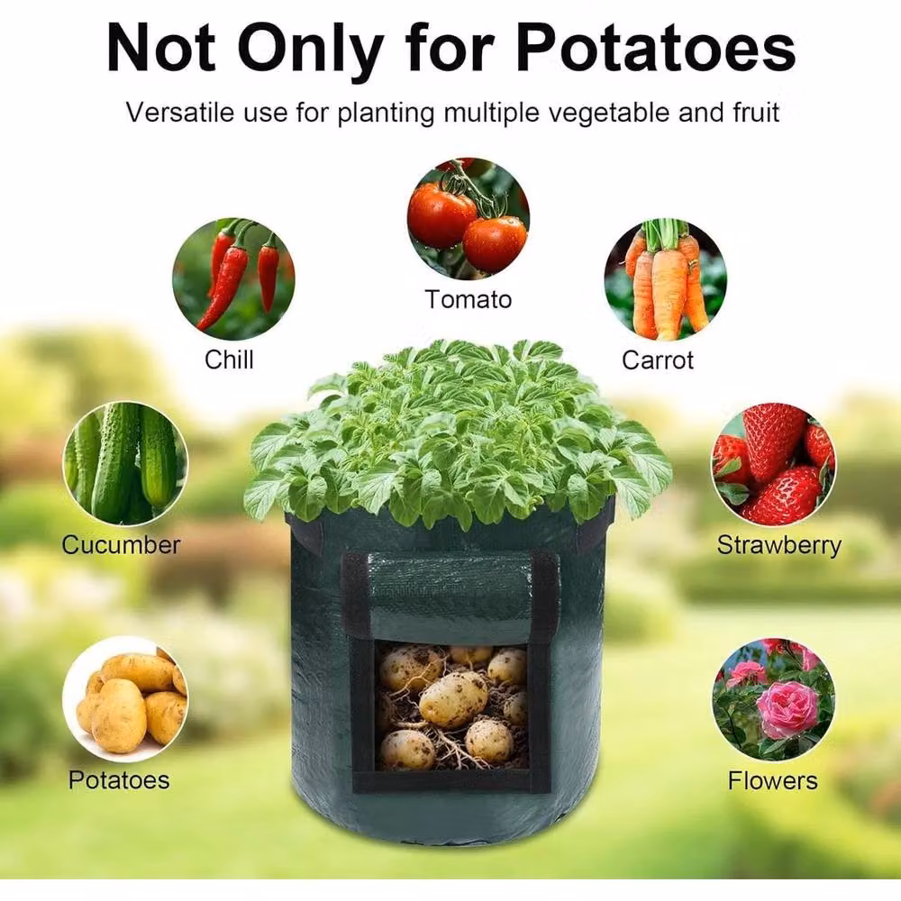 Hinsinc 4 Pack Green Potato and Vegetable Grow Planter Bags, 5 Gallon – 4