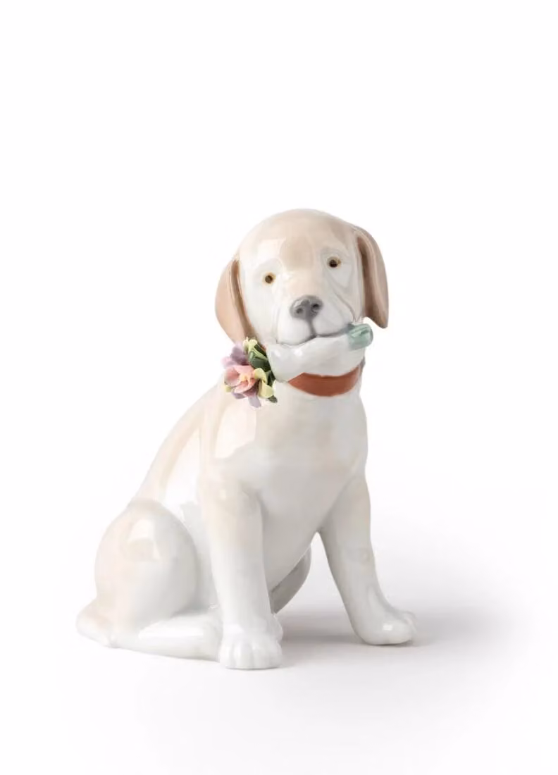 Lladró This Bouquet Is for You Dog Figurine in White Porcelain