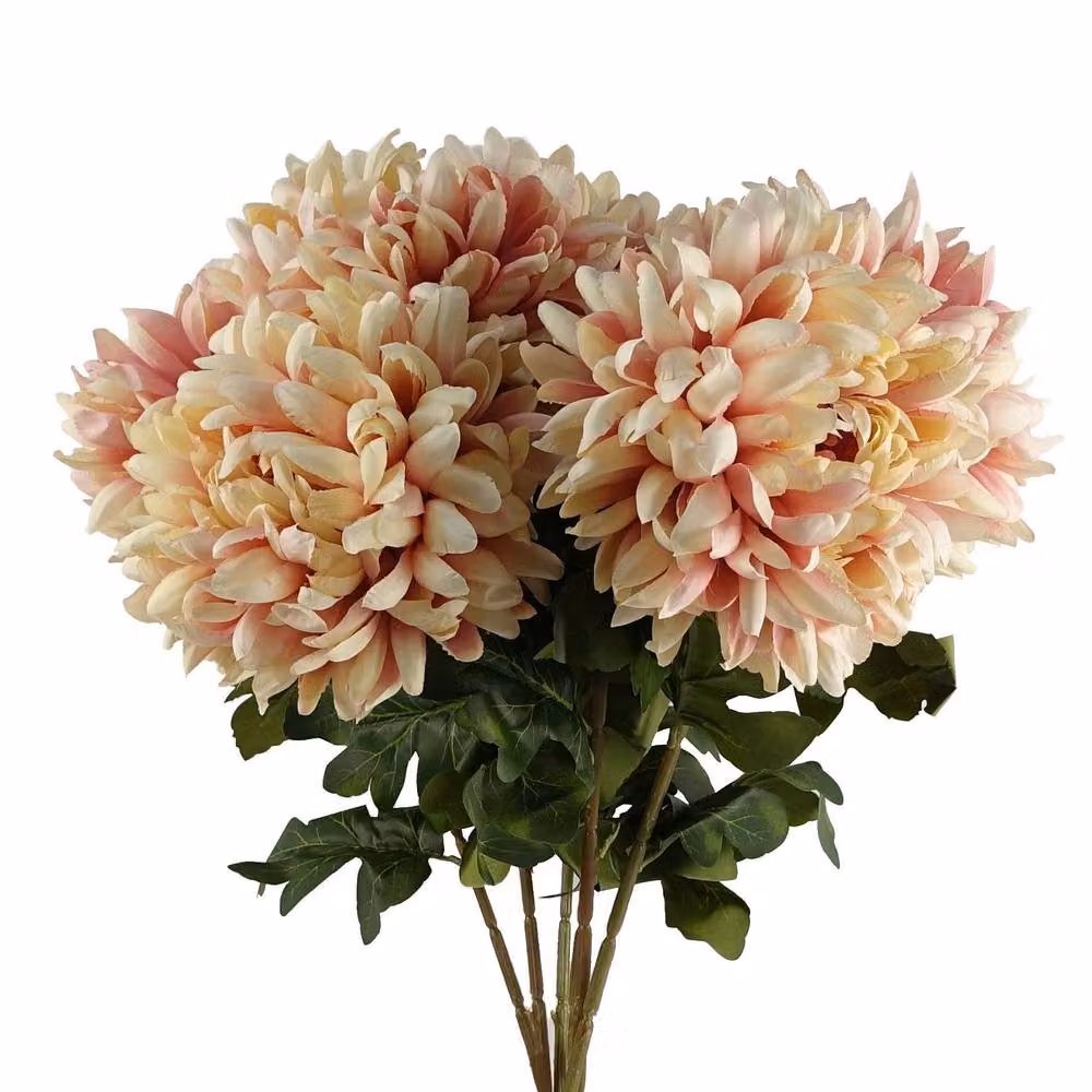 Leaf Pack of 6 Pink Artificial Extra Reflex Chrysanthemums, Height: 75 cm – 3