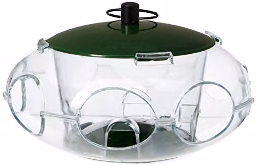 Peckish Green Metal Bird Seed Feeder for Small Birds – 1