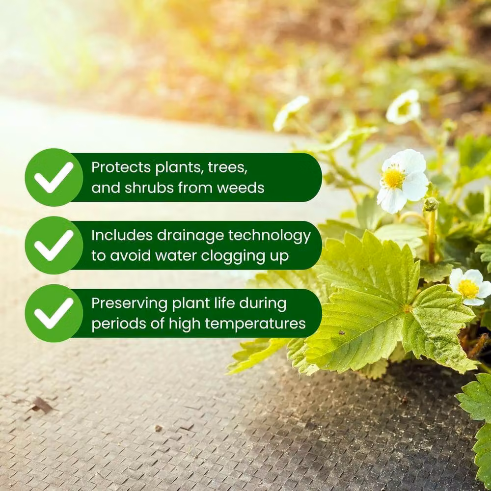 Green Thumbz Heavy Duty Black Weed Control Fabric, W: 2 m, L: 100 m – 6