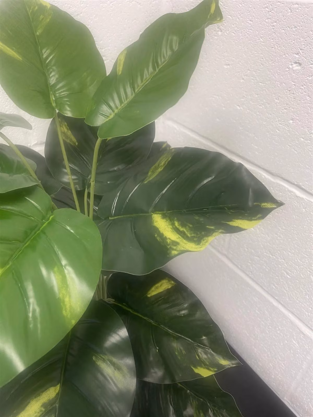 Leaf Design UK Realistic Large Artificial Devils Ivy Potted Plant in Green, Height: 60 cm – 7
