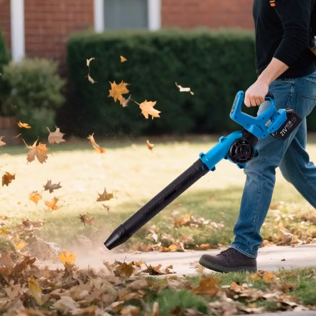 Lifeideas Cordless Handheld Leaf Blower in Black and Blue with Rechargeable Battery