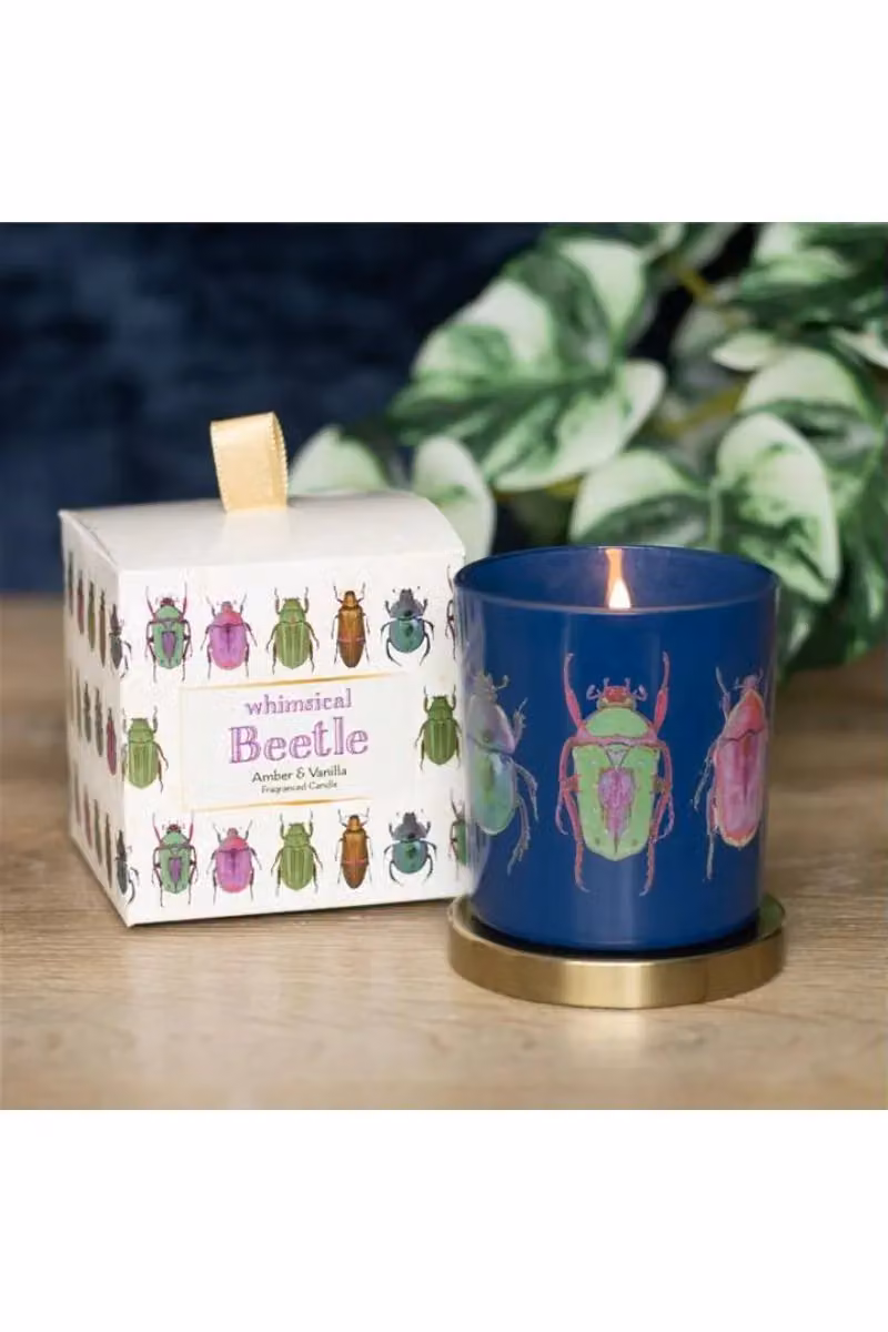 KDMD Blue Beetle Votive Candle in Blue and Gold with Oriental Gourmand Fragrance – 3