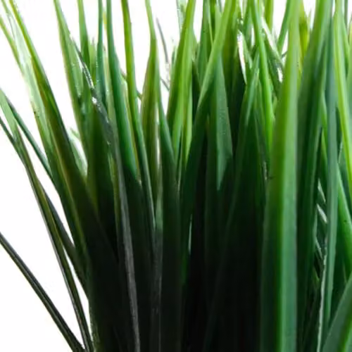 Leaf UK Pack of 6 Green Artificial Grass Plants, Height: 22 cm – 4