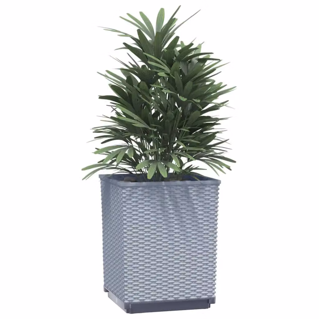 Berkfield Home Set of 2 Grey Polypropylene Ornamental Planters W/D/H: 30 x 30 x 37 cm – 3